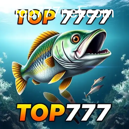 TOP777-BONUS9
